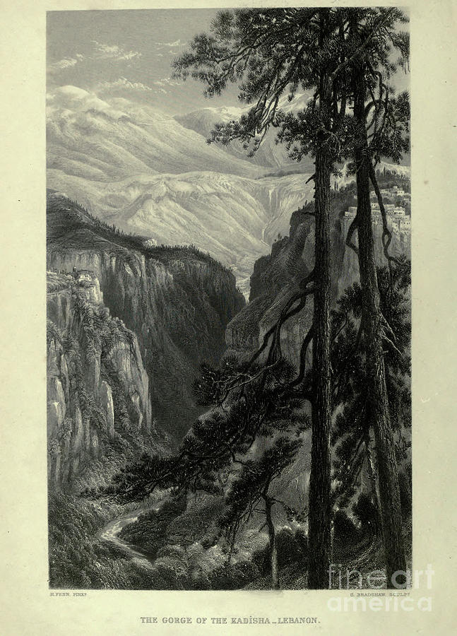 Mountain Drawing - The Gorge of the Kadisha, Lebanon d1 by Historic illustrations