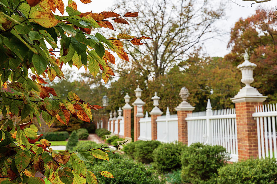 The Governors Gardens in Fall Photograph by Rachel Morrison