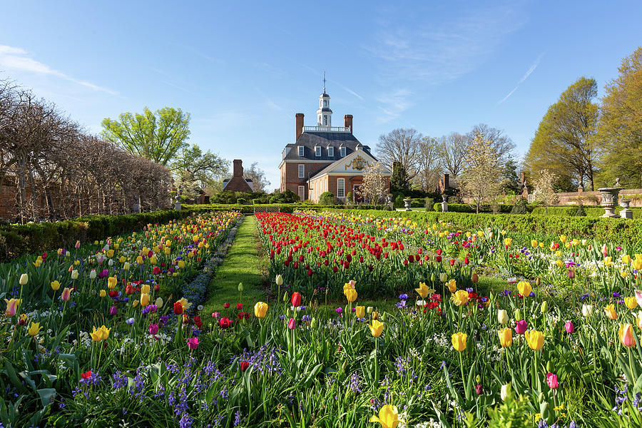 The Governors Palace in Spring Photograph by Rachel Morrison