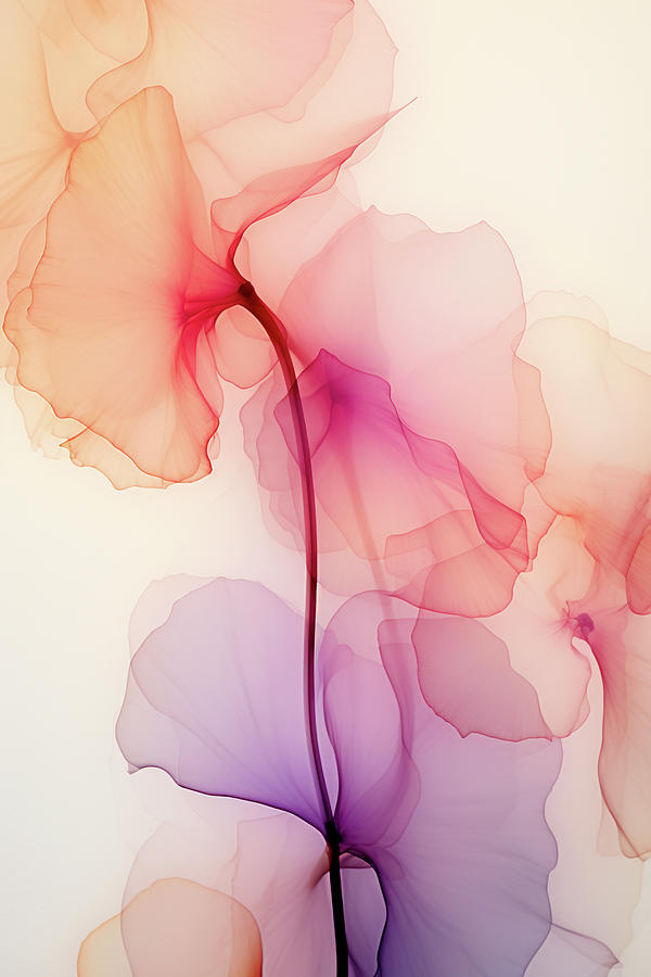 The Grace of Flowers Digital Art by Peggy Collins