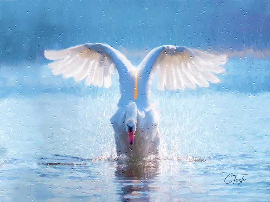 The Graceful Landing Mixed Media by Colleen Taylor