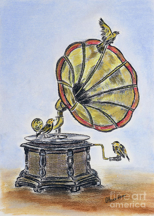 The Gramophone Drawing by Olga Hamilton