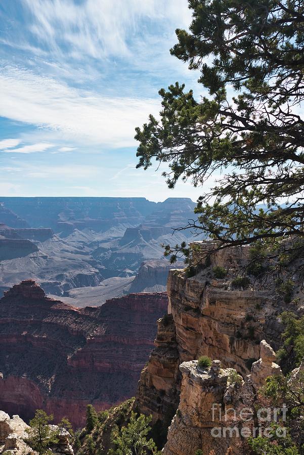 The Grand Canyon 2 Photograph by Andrea Anderegg
