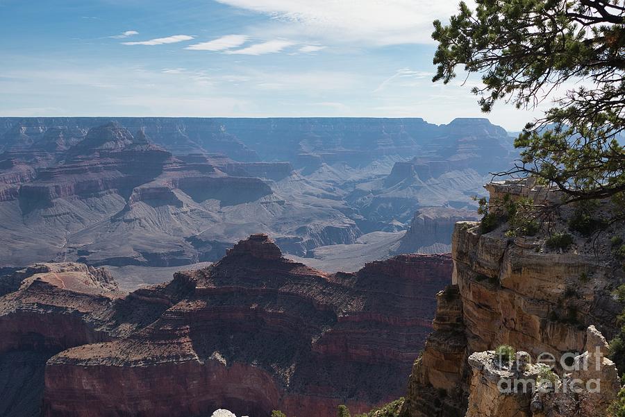 The Grand Canyon 4 Photograph by Andrea Anderegg