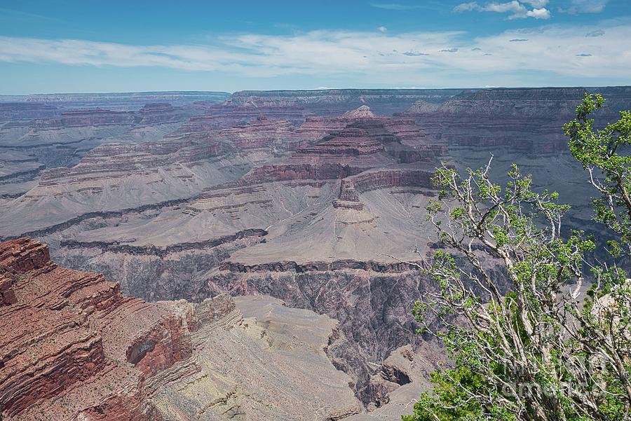 The Grand Canyon 5 Photograph by Andrea Anderegg - Fine Art America