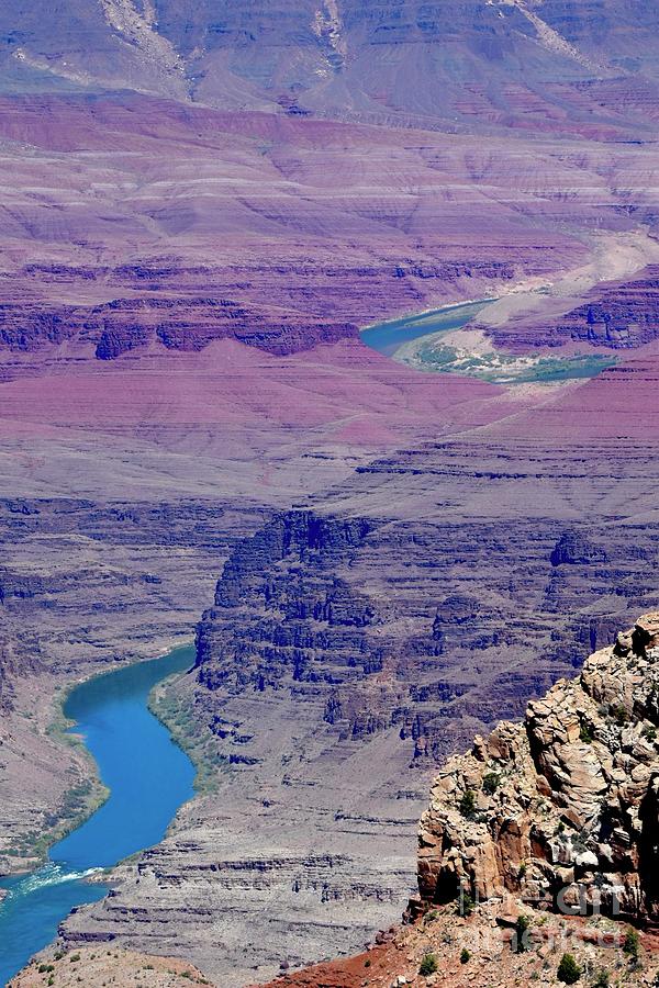 The Grand Canyon and Colorado River Digital Art by Tammy Keyes