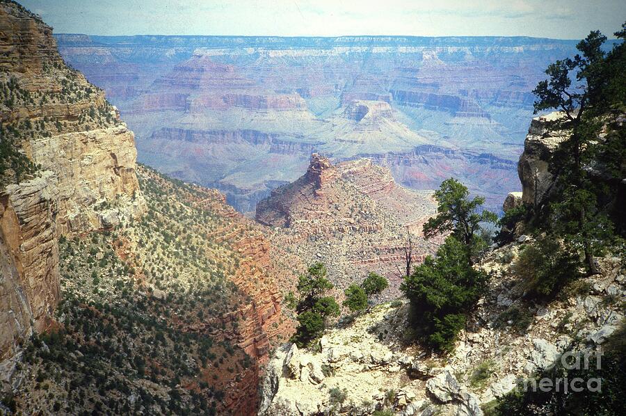 The Grand Canyon National Park Photograph by Gordon James
