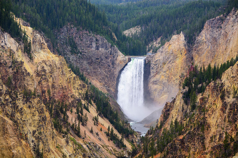 The Grand Canyon of Yellowstone Lower Falls 1 Photograph by Raymond Salani III
