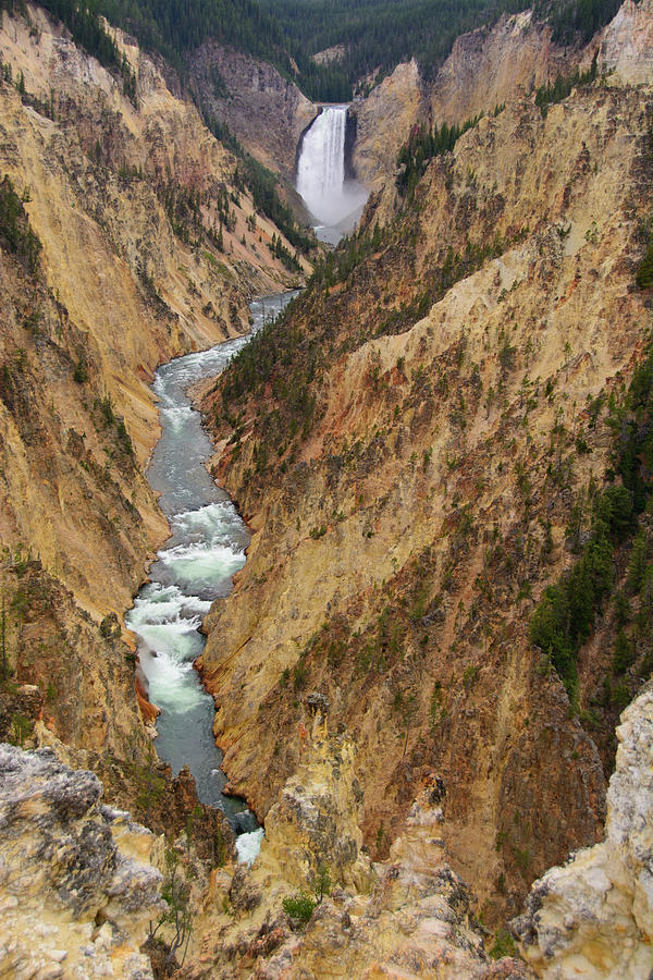 The Grand Canyon of Yellowstone Lower Falls 2 Photograph by Raymond Salani III