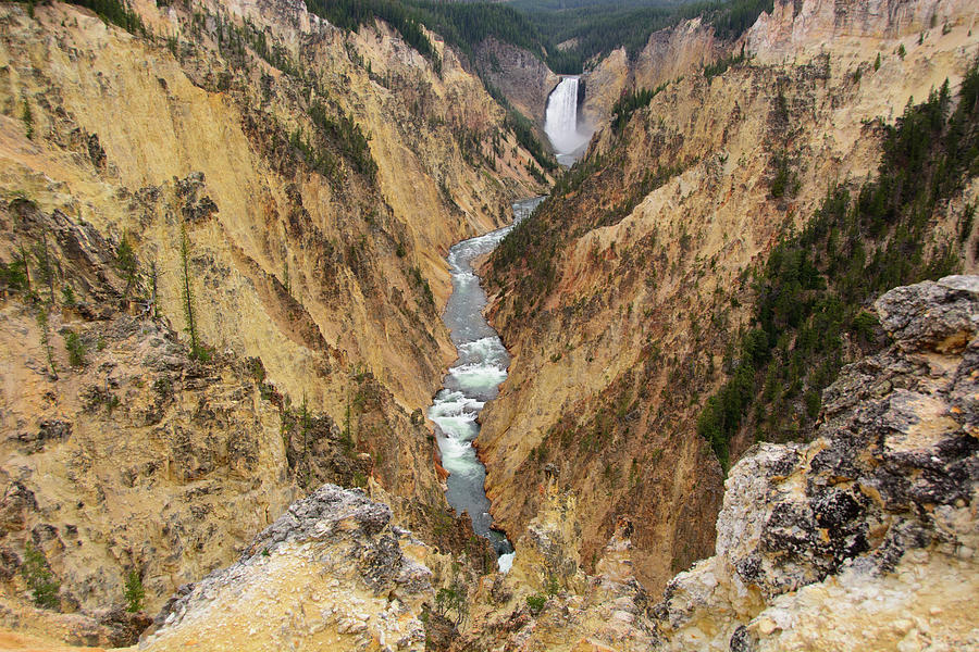The Grand Canyon of Yellowstone Lower Falls 3 Photograph by Raymond Salani III