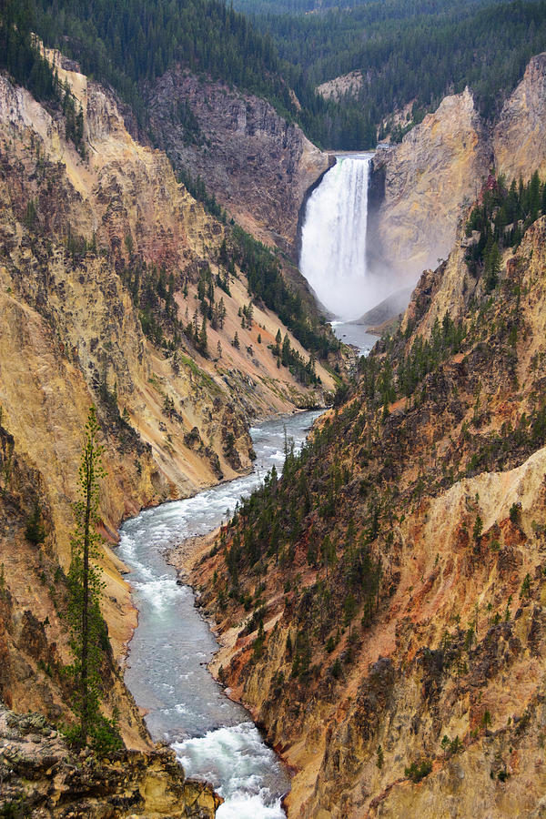 The Grand Canyon of Yellowstone Lower Falls 4 Photograph by Raymond Salani III