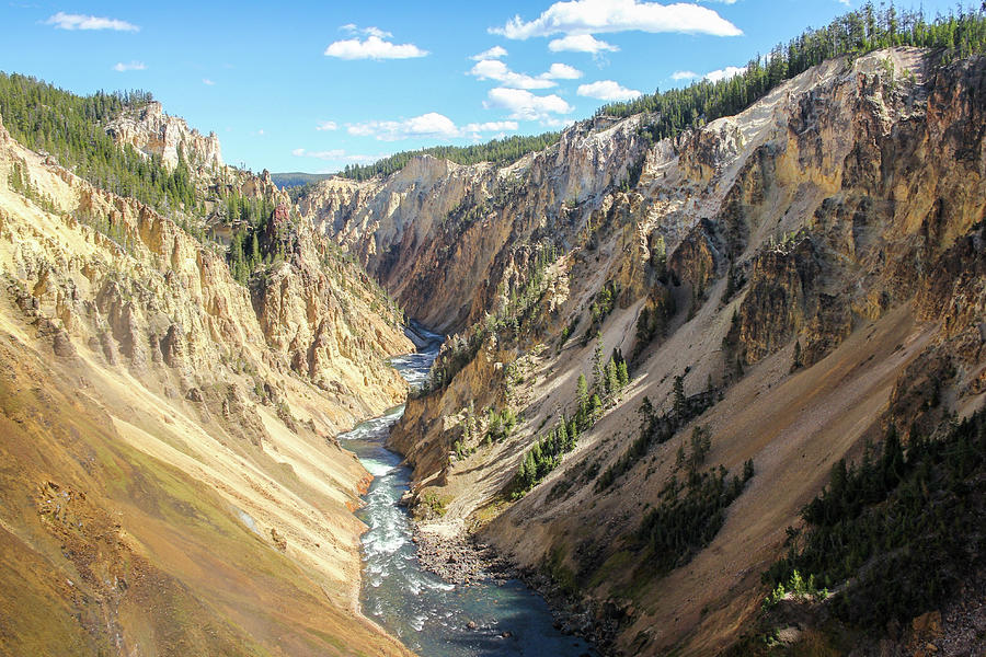 you can download The Grand Canyon Of Yellowstone Photograph By Robert Carte...