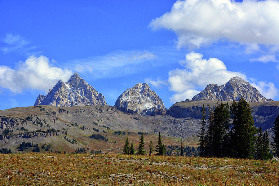 The Grand Photograph - The Grand, Middle, and South Tetons from Teton Canyon Shelf by Raymond Salani III