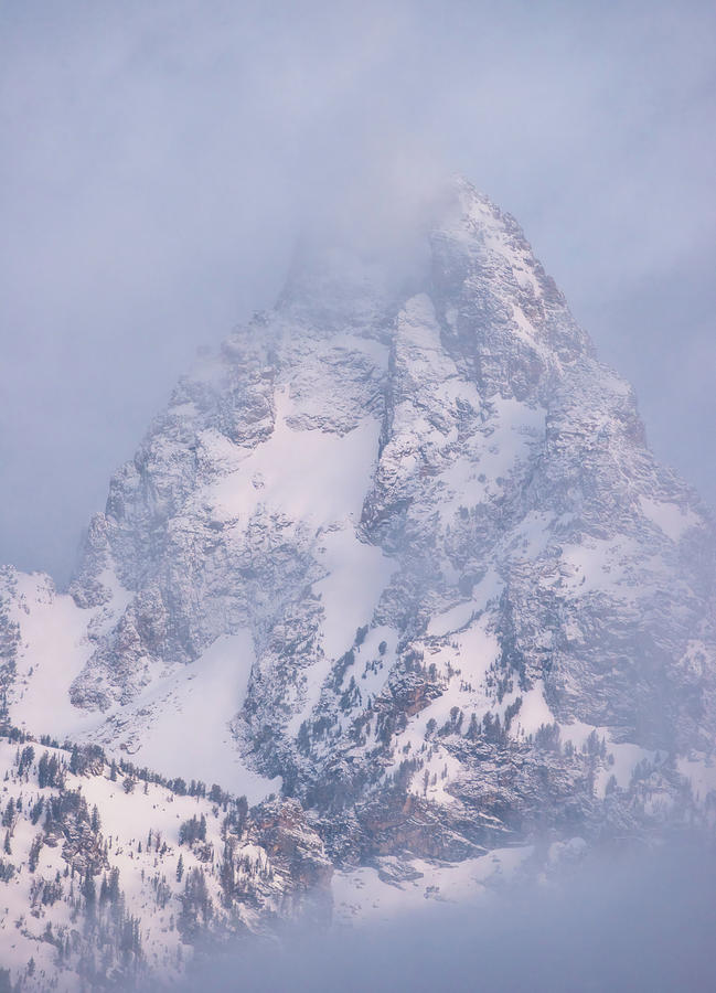 Grand Teton National Park Photograph - The Grand One by Darren White