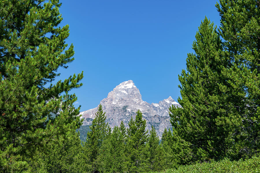 The Grand Teton Peak Photograph by Rose Guinther