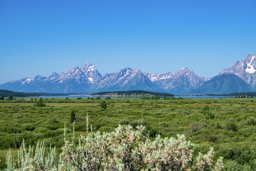 The Grand Teton Range from Willow Flats Photograph by Rose Guinther
