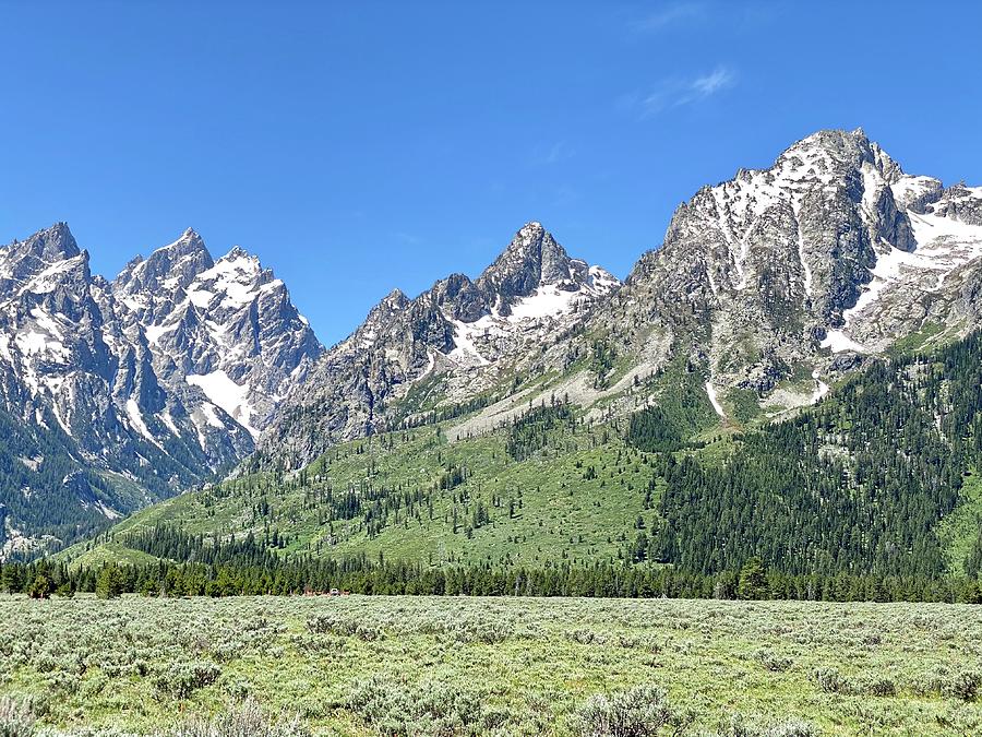 The Grand Tetons  Photograph by Devin Wilson