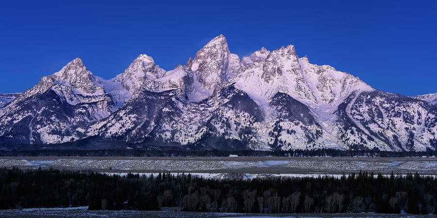 The Grand Tetons in early dawn light Photograph by Murray Rudd