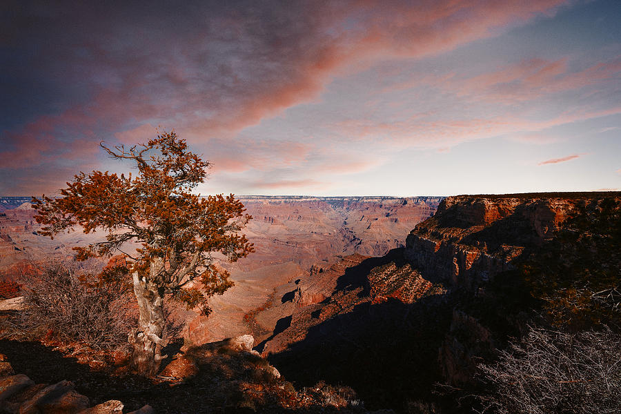 The Grandest of Canyons Photograph by Thousand Word Images by Dustin Abbott