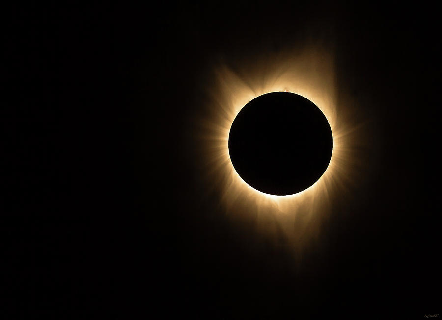 The Great American Eclipse of 2017 Photograph by Rainee Colacurcio - Pixels