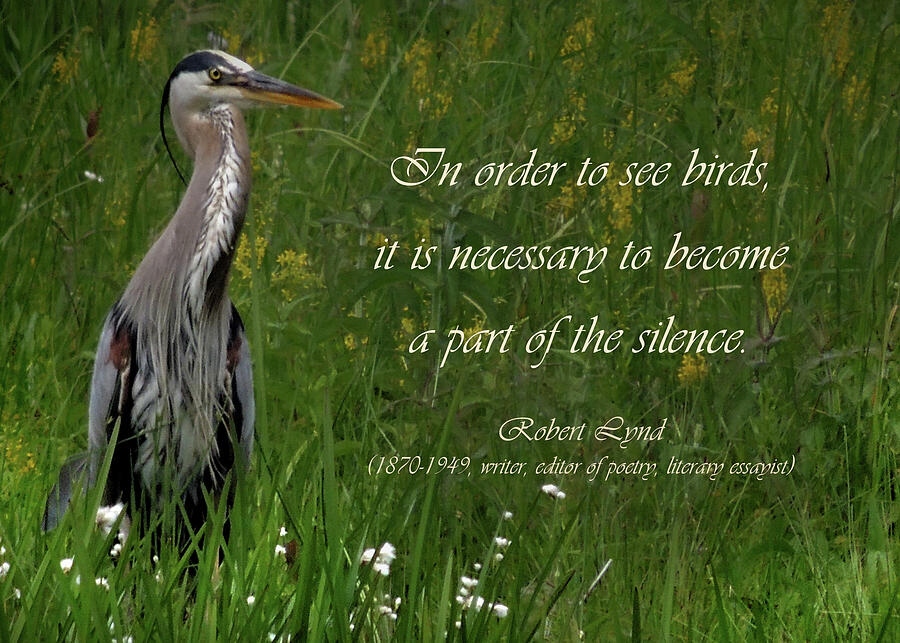 The Great Blue Heron and Quote Photograph by Nancy Griswold
