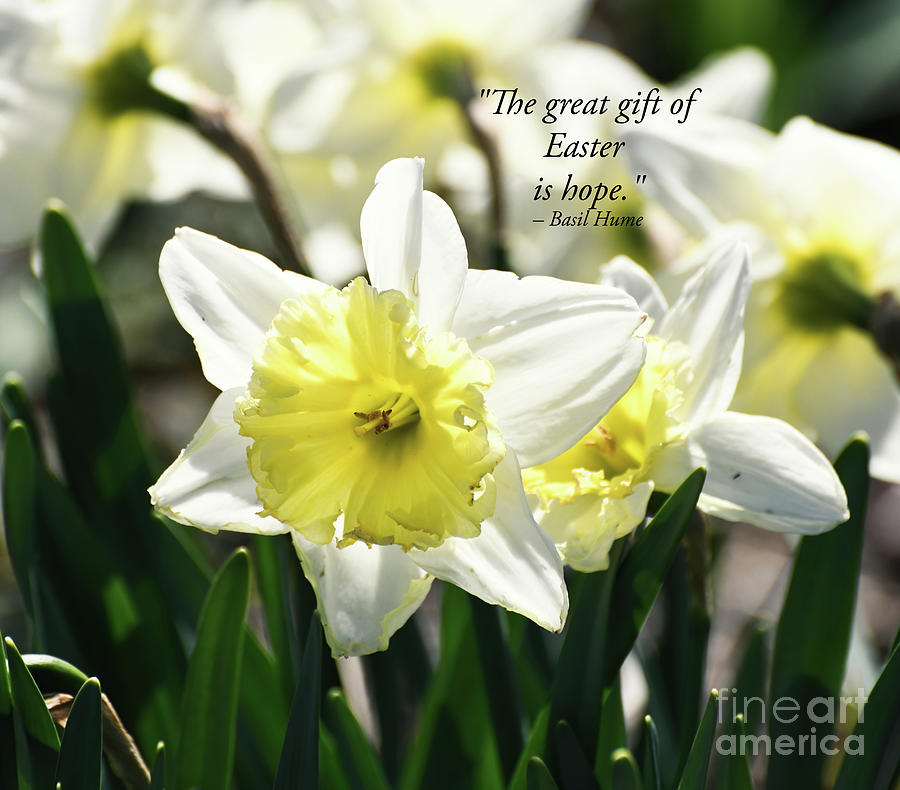 The Great Gift of Easter Photograph by Kerri Farley