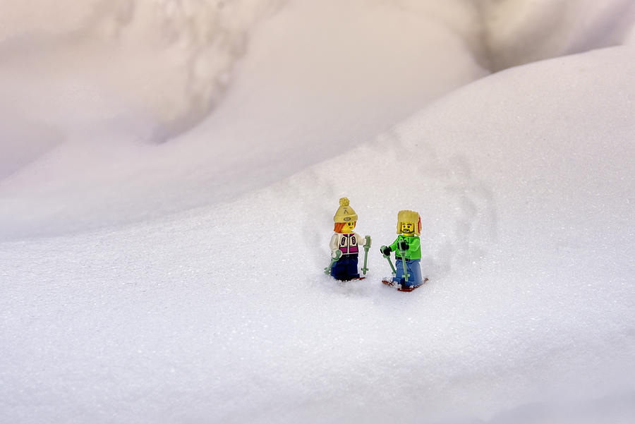 Winter Photograph - The Great Miniature Snowshoeing Adventure No. 1 by Irwin Seidman