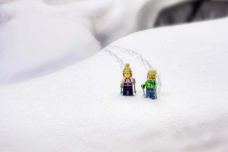 The Great Miniature Snowshoeing Adventure No. 2 Photograph by Irwin Seidman