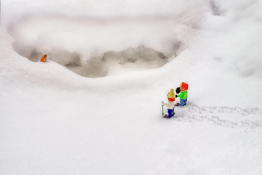 Winter Photograph - The Great Miniature Snowshoeing Adventure No. 3 by Irwin Seidman