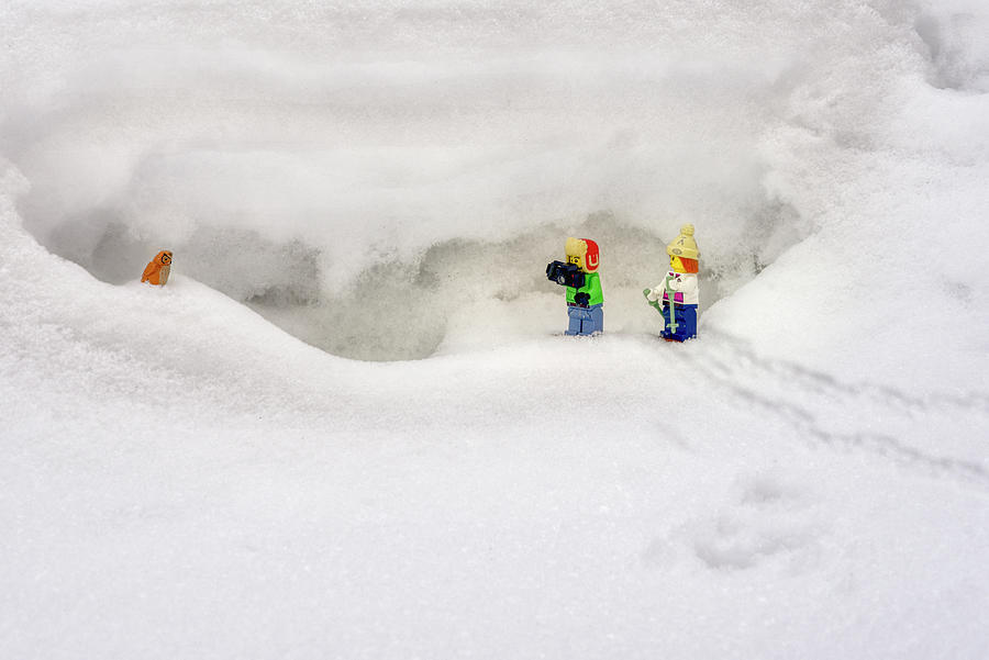 Winter Photograph - The Great Miniature Snowshoeing Adventure No. 4 by Irwin Seidman
