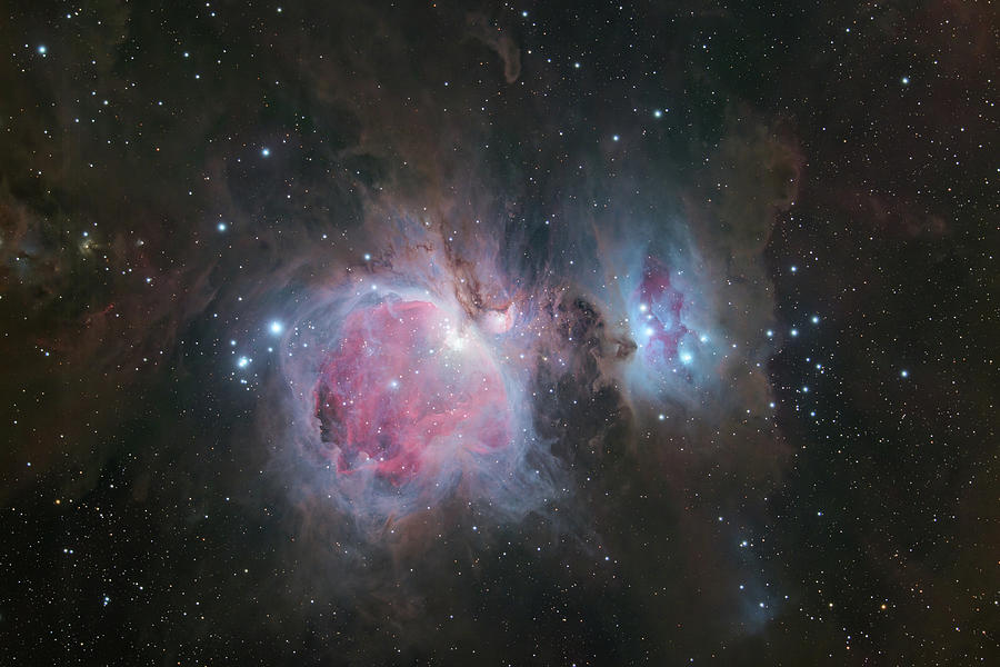 The Great Orion Nebula Photograph by Dana Matson