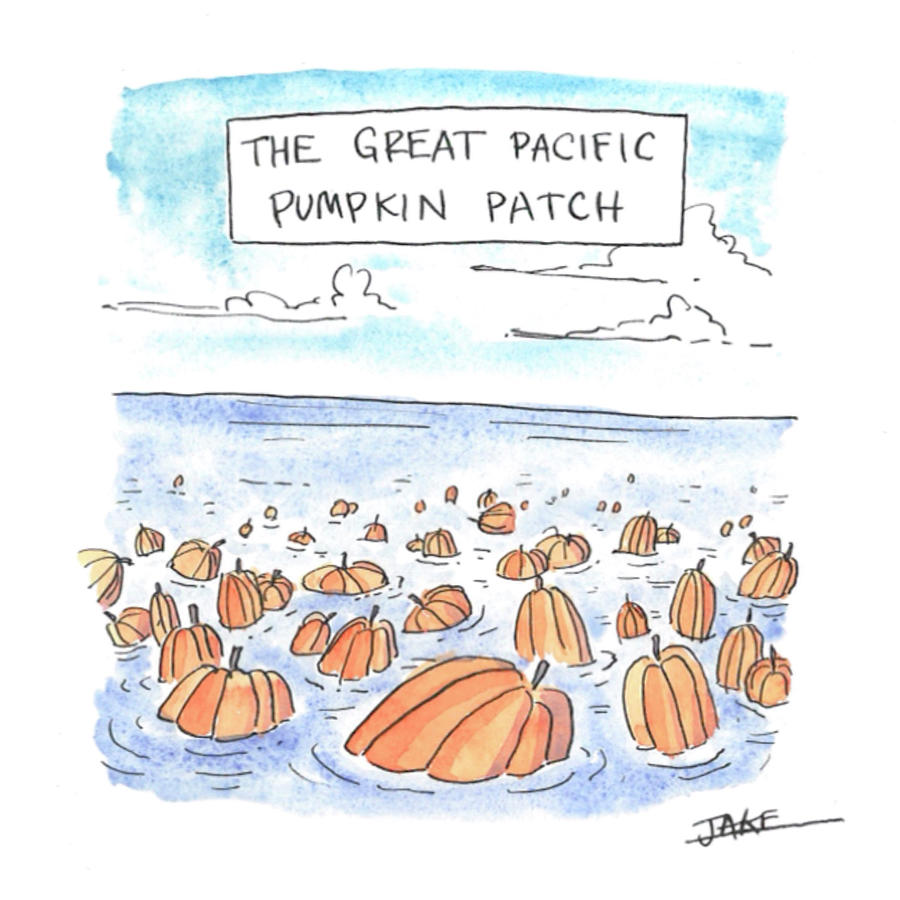 The Great Pacific Pumpkin Patch Drawing by Jake Goldwasser
