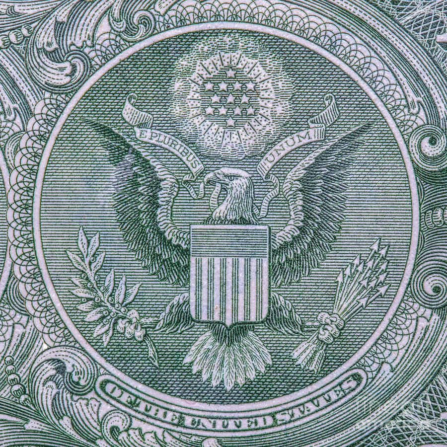 The Great Seal of the United States Eagle Photograph by Randy Steele