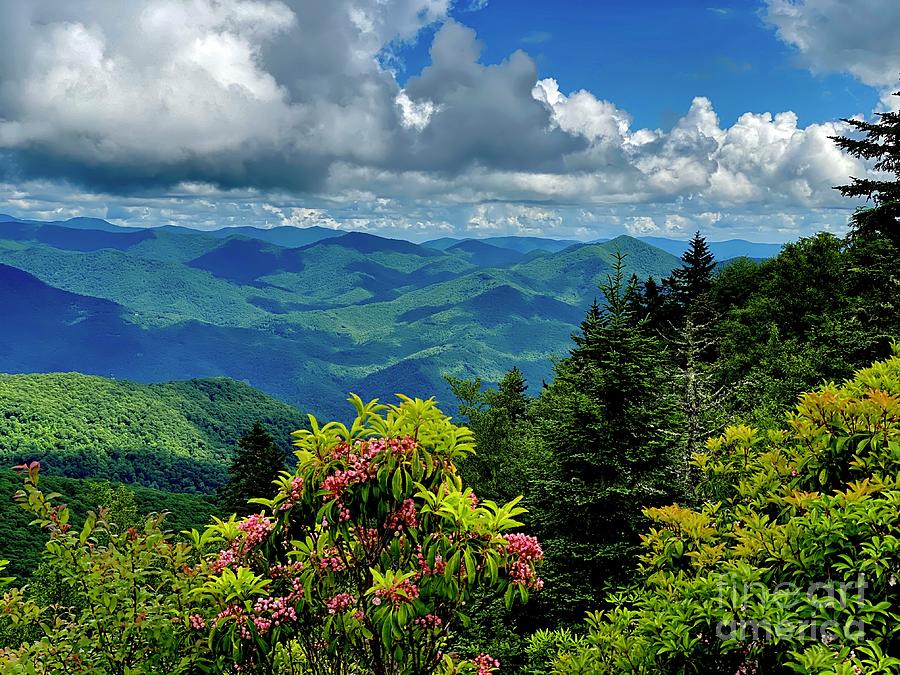 The Great Smokey Mountains Photograph by Angela Zanowick - Fine Art America