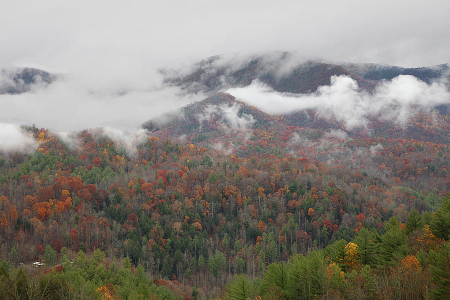 The Great Smoky Mountains in Autumn Photograph by William Jobes