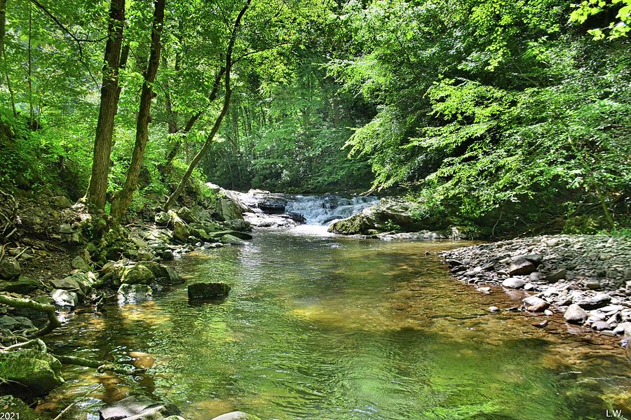 The Great Smoky Mountains Rolling River Photograph by Lisa Wooten