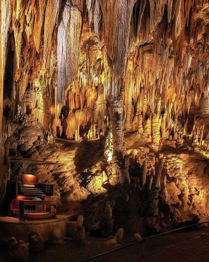 The Great Stalacpipe Organ - Luray Caverns Photograph by Susan Rissi Tregoning