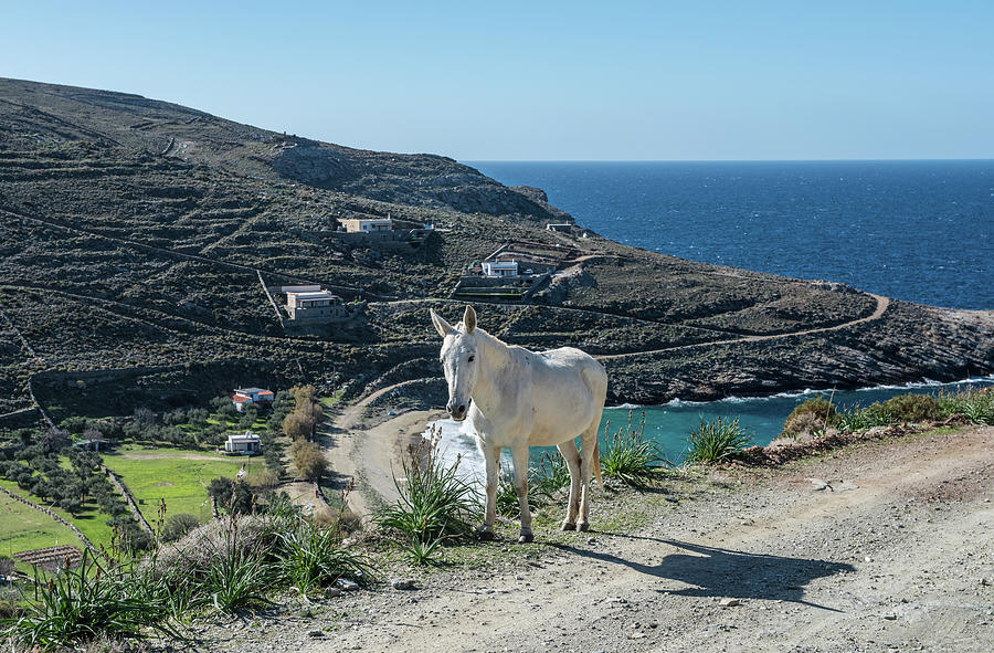 The Greek island Kea,eleven Photograph by Eleni Kouri