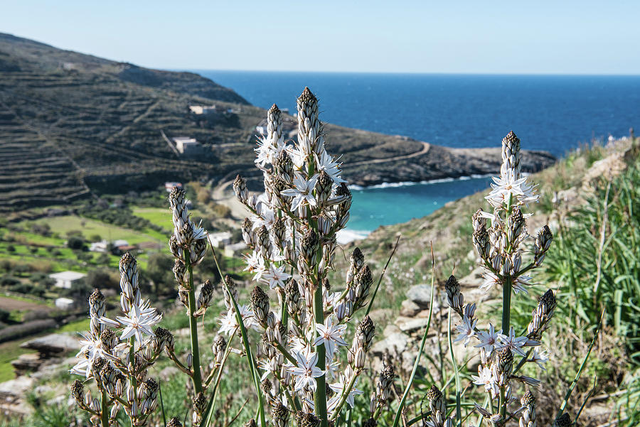 The Greek island Kea,six Photograph by Eleni Kouri