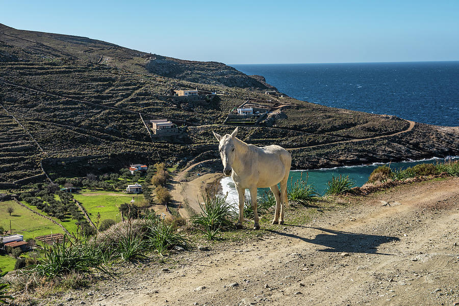 The Greek island Kea,ten Photograph by Eleni Kouri