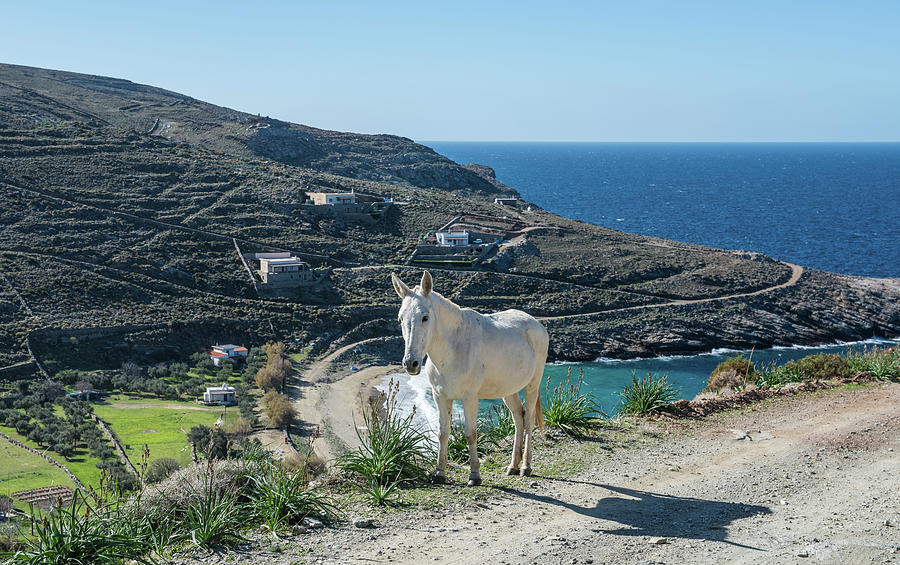 The Greek island Kea,twelve Photograph by Eleni Kouri