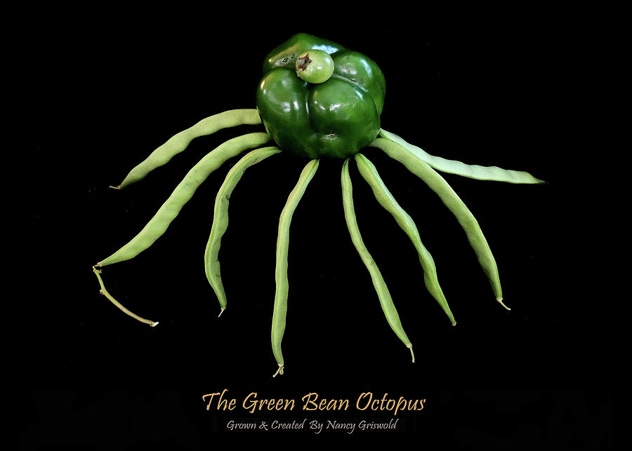 Vegetable Photograph - The Green Bean Octopus Vegetable Art by Nancy Griswold