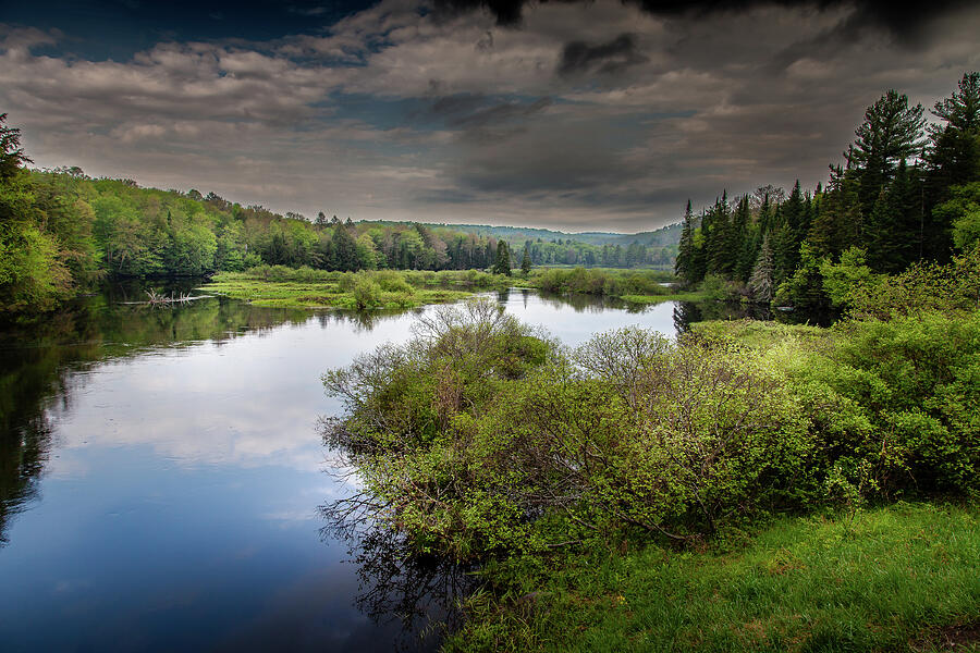 The Green Bridge in Spring Photograph by David Patterson The Green Bridge in Spring Photograph by David Patterson
