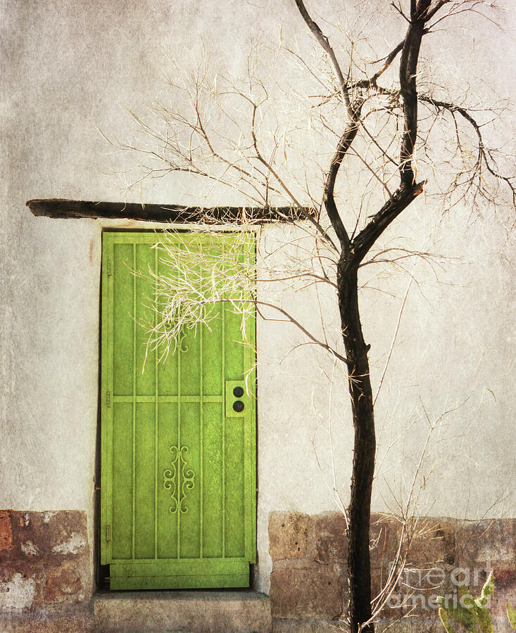 The Green Door in Barrio Viejo Photograph by Jennifer Camp