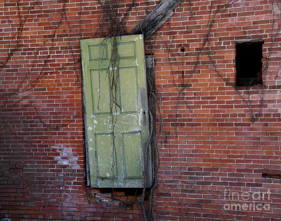 The Green Door Photograph by Steve Brown