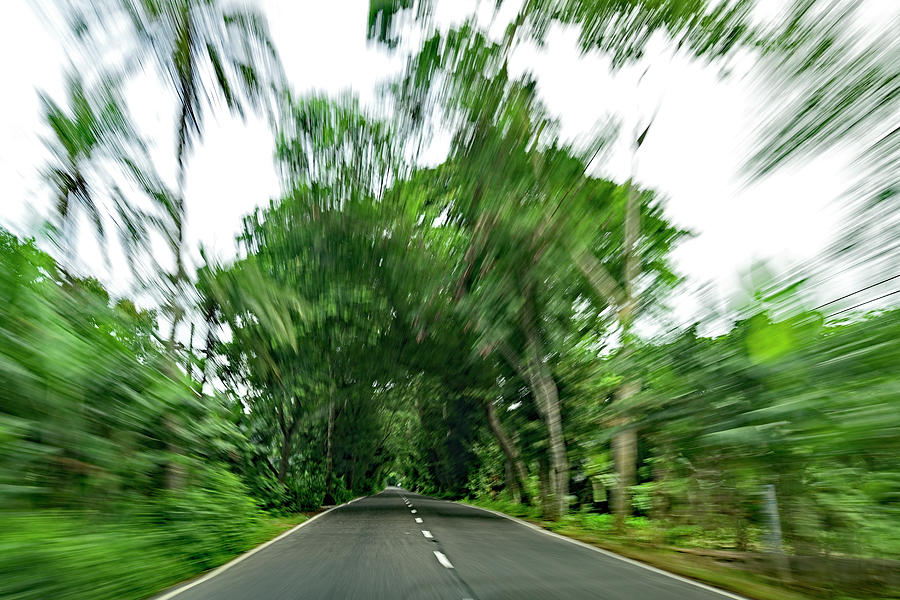 The Green Highway - Barisal to Dhaka Photograph by Amazing Action Photo Video
