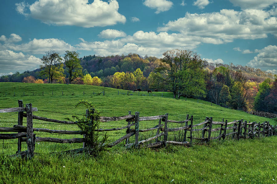 The Green Pastures of Spring Photograph by Dan Carmichael