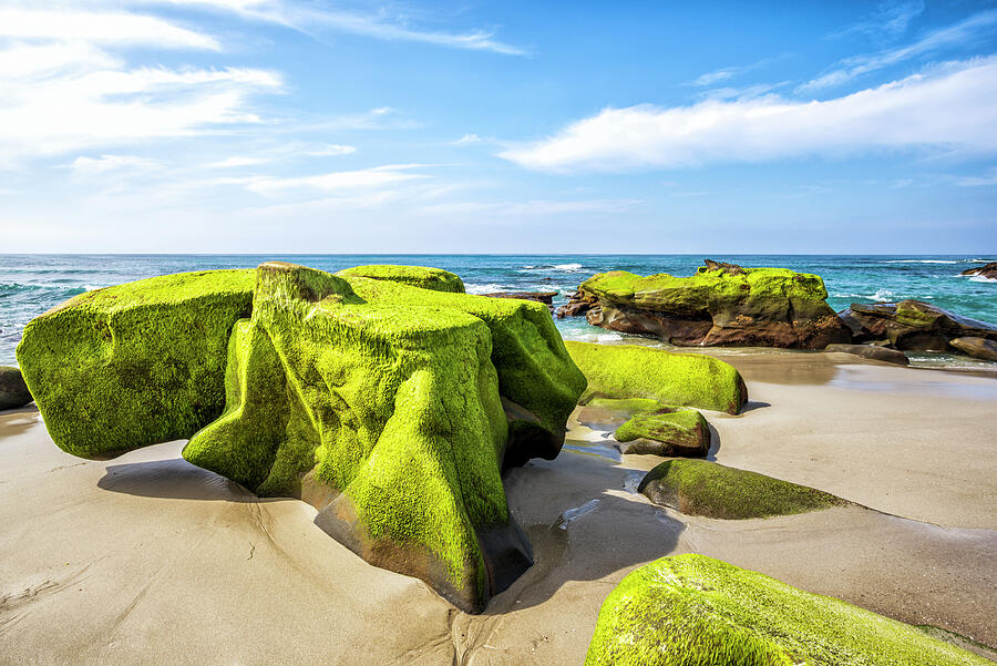 The Green Rocks Of Windansea Beach #4 Photograph by Joseph S