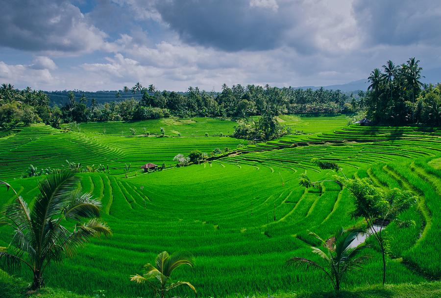 The Green Valley Photograph by Skitterphoto Martin Meijerink - Fine Art ...