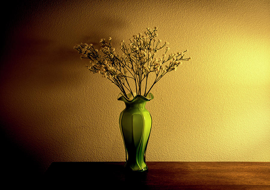 The Green Vase Photograph by Craig Brewer